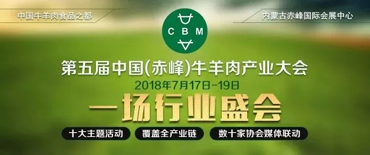 今天很痛苦，但明天很美好 規(guī)模肉牛企業(yè)發(fā)展長線看好