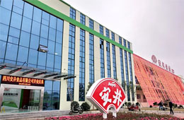 安井只是賣丸子的？不，它已成速凍品類“三劍客