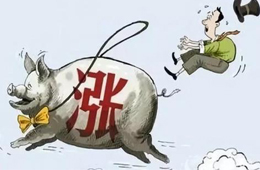 豬肉供應(yīng)量斷崖式下跌，肉價(jià)將開啟全面大漲