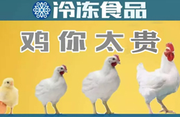 量價齊升，養(yǎng)白羽肉雞咋還虧了？