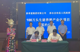新希望六和落子渝豫甘，生豬規(guī)模再增200萬頭！