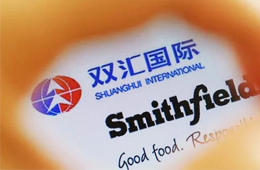 增收不增利，雙匯發(fā)展如何應對“二師兄”漲價