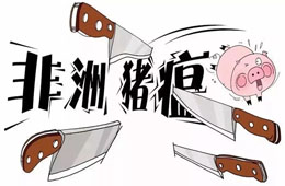 官宣 | 農(nóng)業(yè)農(nóng)村部：28省非瘟疫區(qū)解除封鎖，“豬荒”年底前有望緩解