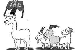 比去年同期上漲35%，價(jià)格井噴的“羊貴妃”路在何方？