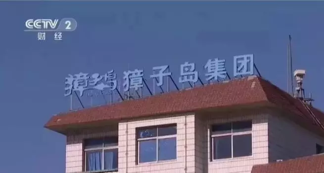 獐子島3億元扇貝“集體暴斃”？