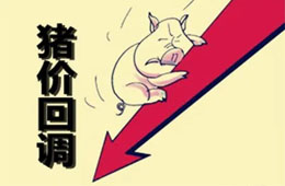  農(nóng)業(yè)農(nóng)村部：豬肉價格連8周回落，高峰或在9月前后出現(xiàn)