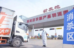 北京新發(fā)地暫停凍品等銷售和儲存；天津海聯(lián)冷庫感染源為北美豬頭