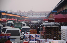 追蹤 | 冷庫停業(yè)，旺季將至，急壞凍品人！怎么辦？