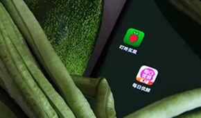 叮咚買菜、每日優(yōu)鮮接連上市，是否持續(xù)利好預(yù)制菜成為“家常菜”？