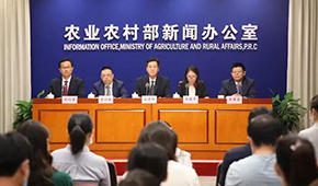 豬價(jià)下跌豬企承壓，有企業(yè)半年預(yù)虧34.5億，國(guó)家第三次出手收儲(chǔ)