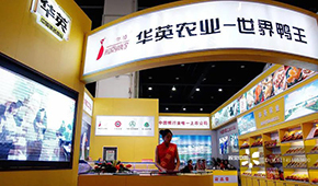  華英農業(yè)正式進入破產重整，“世界鴨王”能否浴火重生？